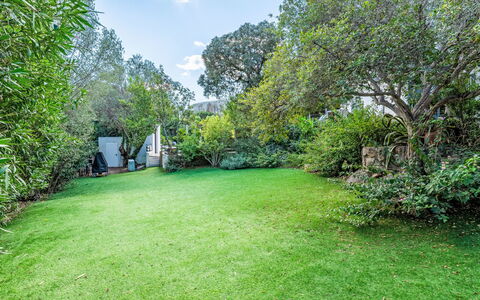 Villa Romana: Arbuste, Jardin, Pelouse, Lot Terre, Couverture De Sol, Ombre, Printemps, Arrière-Cour, Lumière Du Soleil