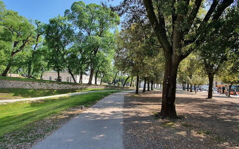La Colonna: Plante, Ciel, Arbre, Surface De La Route, Ombre, Paysage Naturel, Rue, Herbe, Paysage, Asphalte