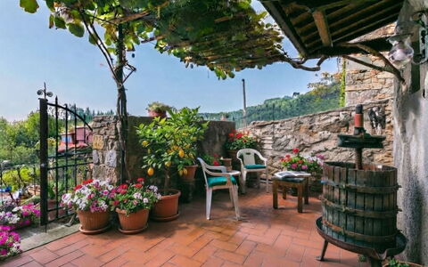 La Casa del Fale di Collodi: Pot De Fleur, Plante D'Appartement, Printemps, Jardin, Floristique, Balcon, Cour, Art Floral