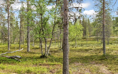 Saariselän Waskooli a
