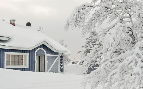 Sinitaivas: Bois, Neige, L'Hiver, Chalet, Gelé, Domicile, Cabane En Rondins, Mélèze, Siding