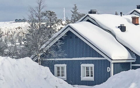 Sinitaivas: Bois, Neige, L'Hiver, Chalet, Gelé, Domicile, Cabane En Rondins, Mélèze, Siding