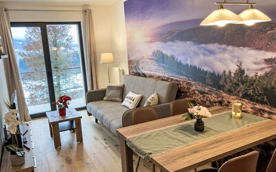 Logement:&nbsp;Ski&Bike Siréna 300.6
