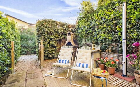 Happy Island: Arbuste, Pot De Fleur, Jardin, Mobilier De Jardin, Plante D'Appartement, Chaise, Arrière-Cour, Aménagement Paysager, Ombre