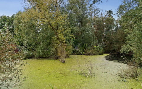 Tessa - 1.6Km from the Sea: Bois, Meubles, Appartement, Pièce, Plafond, Tache De Bois, Chaise, Dur, Vernis, Lumber