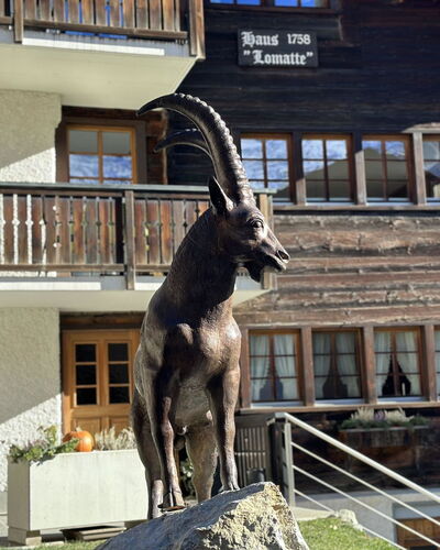 Ferienhaus Lomatte 1758