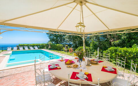 Poggio al Pruno: Table, Plante, L'Eau, Mobilier De Jardin, Ombre, Bâtiment, Chaise, Piscine, Arbre, Parapluie