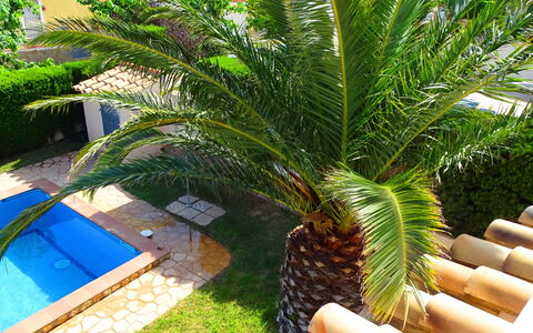 Villa Marisol: Plante, Arbre, Terrestre Des Plantes, Arecales, Fruit, Herbe, Palmier, Mobilier De Jardin, À Feuilles Persistantes, Ombre