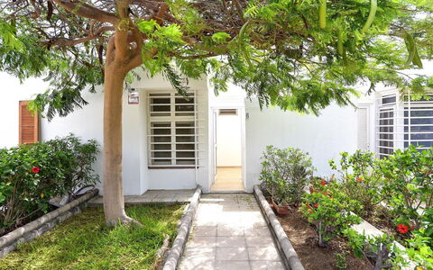 Bungalow Miami Beach Aj06: Plante, Bâtiment, Propriété, Feuille, Porte, Fenêtre, Surface De La Route, Botanique, Arbre, Architecture