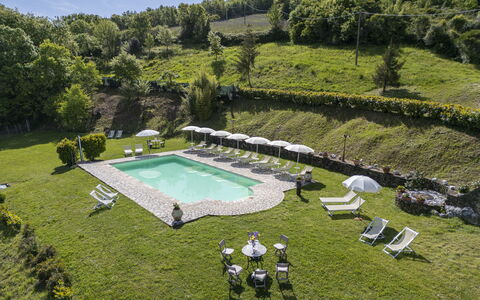 Podere Marcigliana - Radicondoli: Plante, Communauté Des Plantes, L'Eau, Arbre, Lot Terre, Végétation, Herbe, Ciel, Piscine, Arbuste
