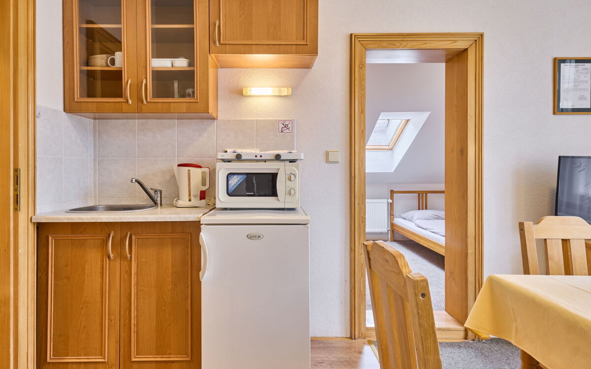 Logement:&nbsp;Stříbrný Pramen 1.4