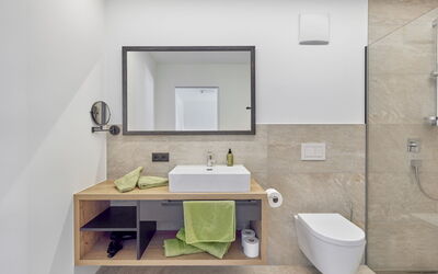 Logement:&nbsp;Apart Hanna am Hannesnhof 166.2