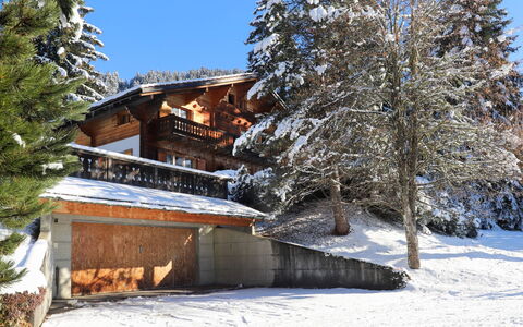 Chalet le Haut Pré: Ciel, Neige, Bâtiment, Plante, Arbre, Branche, Pente, Maison, Mélèze, Paysage