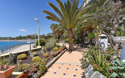 Balcon: Bâtiment, Ciel, Plante, Fenêtre, Maison, Façade, Arbre, Loisir, Toit