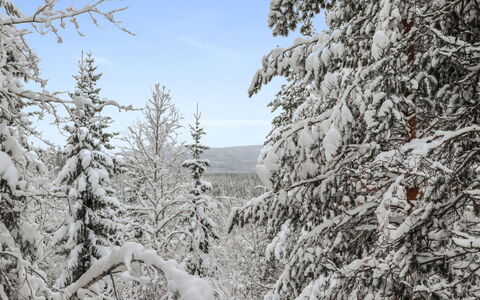 Hyrynpirtti Mökki: Bois, Chalet, Domicile, Cabane En Rondins, Lumber, Siding, Dur, Matériau Naturel, Batiments Jardin, Cabane