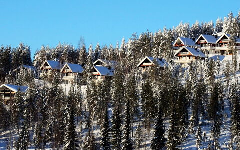 Hyrynpirtti Mökki: Bois, Chalet, Domicile, Cabane En Rondins, Lumber, Siding, Dur, Matériau Naturel, Batiments Jardin, Cabane