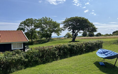 Marlies - 300M from the Sea: Herbe, Prairie, Paysage, Écorégion, Plaine, Communauté Des Plantes, Lot Terre, Mobilier De Jardin, Prairie, Formations Arbustives
