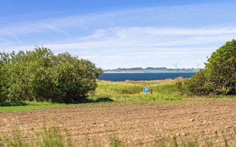 Benthe - 200M from the Sea: Ciel, Bleu, Vert, Herbe, Prairie, Horizon, Végétation, Paysage Naturel, Écorégion, Été