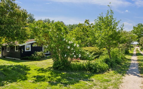 Benthe - 200M from the Sea: Vert, Végétation, Arbuste, Zone Rurale, Jardin, Couverture De Sol, Printemps, Chalet, Pelouse, Ombre