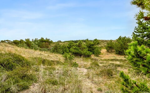 Vemund - 300M from the Sea: Herbe, Prairie, Lot Terre, Chalet, Zone Rurale, Prairie, Batiments Jardin, Jardin, Cabanon