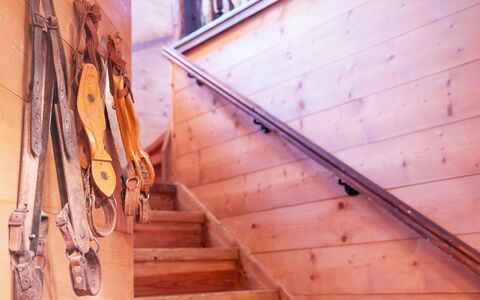 Chalet Tetras: Marron, Fenêtre, Bâtiment, Escaliers, Bois, Orange, Brique, Tache De Bois, Maison