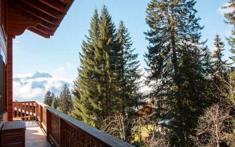 Chalet Tetras: Ciel, Bâtiment, Plante, Mélèze, Maison, Bois, Arbre, Biome, Porche, À Feuilles Persistantes