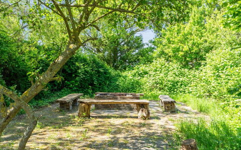 Eliane - 1.8Km from the Sea: Bois, Toit, Architecture, Domicile, Maison, Chalet, Siding, Dur, Pente, Biens
