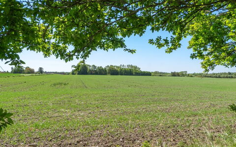 Eliane - 1.8Km from the Sea: Bois, Toit, Architecture, Domicile, Maison, Chalet, Siding, Dur, Pente, Biens