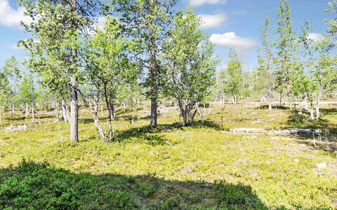 Tunturikoivu A1: Bois, Neige, L'Hiver, Chalet, Gelé, Domicile, Cabane En Rondins, Mélèze, Siding