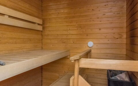 Urupää D 17: Bois, Sauna, Sol, Sol, Tache De Bois, Dur, Plafond, Planche, Conception, Contre-Plaqué