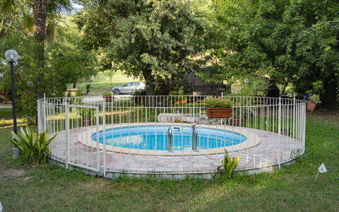 Podere Vallino: Plante, Arbre, L'Eau, Clôture, Ombre, Loisir, Accueil Escrime, Herbe, Des Loisirs, Piscine