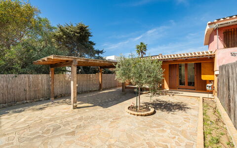 Domus Ema: Ciel, Nuage, Plante, Arbre, Lot Terre, Ombre, Bâtiment, Chalet, Bois, Loisir