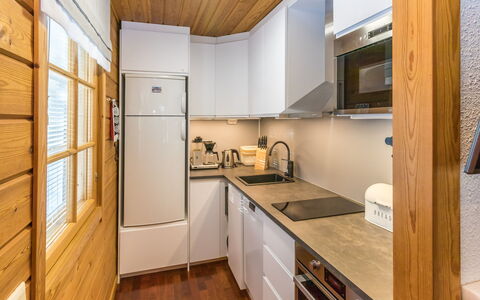 Saaga: Bois, Neige, L'Hiver, Chalet, Gelé, Domicile, Cabane En Rondins, Mélèze, Siding
