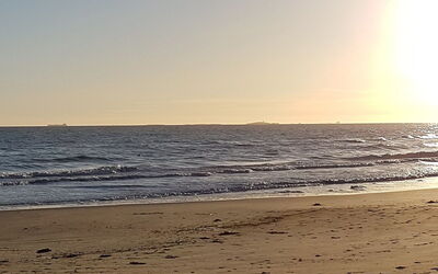Grep - 800M from the Sea