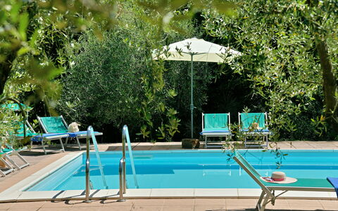 Torre Di Montelopio: L'Eau, Plante, Meubles, Vert, Piscine, La Nature, Arbre, Ombre, Mobilier De Jardin, Parapluie