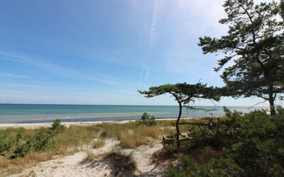 Clementine - 1.2Km from the Sea