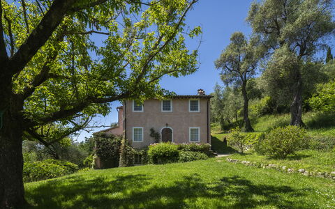 La Casa Dei Limoni, Camaiore, Pet Friendly, Wifi: Arbre, Herbe, Feuille, La Nature, Végétation, Arbuste, Maison, Zone Rurale, Paysage