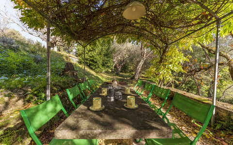 La Casa Dei Limoni, Camaiore, Pet Friendly, Wifi: Plante, Communauté Des Plantes, Vert, Paysage Naturel, Terrestre Des Plantes, Arbre, Herbe, Ombre, Suppression Des Plantes Ligneuses, Loisir