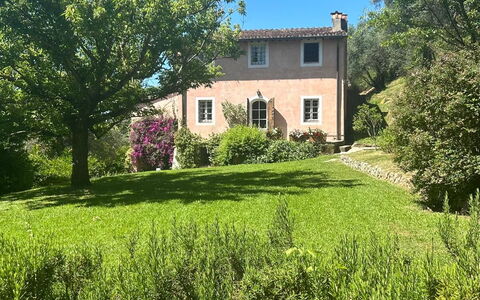 La Casa Dei Limoni, Camaiore, Pet Friendly, Wifi: Ciel, Plante, Propriété, Fenêtre, Bâtiment, Paysage Naturel, Arbre, Lot Terre, Herbe, Maison