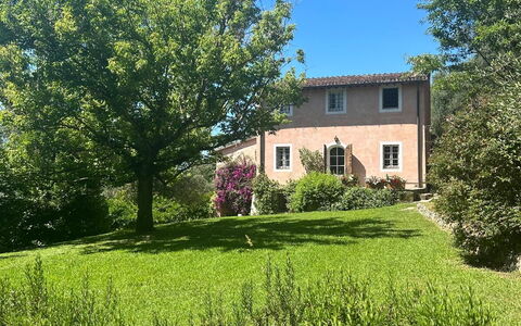La Casa Dei Limoni, Camaiore, Pet Friendly, Wifi: Plante, Ciel, Jour, Propriété, Fenêtre, Bâtiment, Paysage Naturel, Arbre, Végétation, Lot Terre