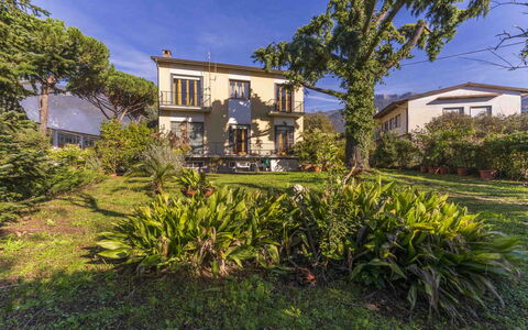Casa Vacanza Mais - Camaiore, Toscana: Plante, Bâtiment, Ciel, Fenêtre, Communauté Des Plantes, Bleu Azur, Arbre, Maison, Lot Terre, Arecales