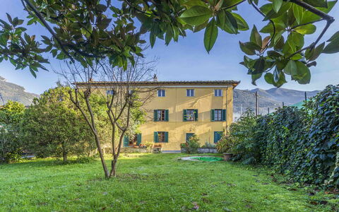 Casale Il Farro - Camaiore, Toscana: Plante, Ciel, Propriété, Fenêtre, Feuille, Vert, La Nature, Botanique, Lot Terre, Végétation