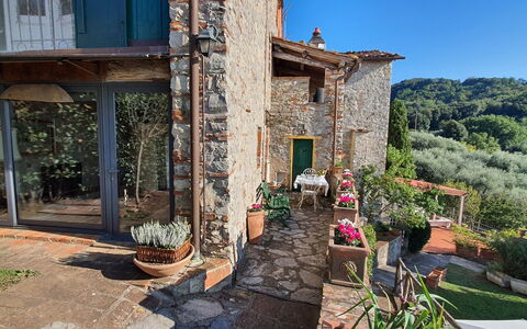 Borgo Bucatra Tramonto: Plante, Propriété, Bâtiment, Pot De Fleur, Ciel, Fenêtre, Plante D'Appartement, Mur, Loisir, Zone Résidentielle