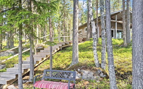 Kianta: Bois, Couverture De Sol, Des Bois, Forêt, Printemps, Bosquet, Jardin, Batiments Jardin, Planche