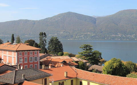 Cornucopia: Ciel, Plante, Bâtiment, Fenêtre, Arbre, Piscine, Maison, Zone Résidentielle, Loisir, Design Urbain