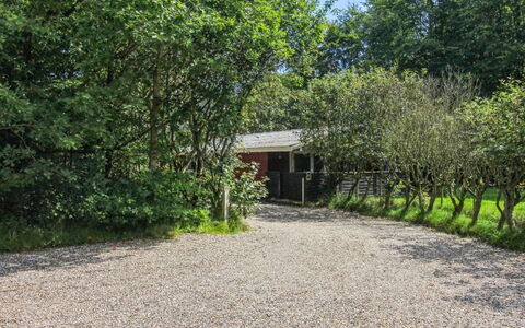 Aage: Herbe, Bois, Zone Rurale, Arbuste, Chalet, Toit, Plaine, Lot Terre, Domicile, Couverture De Sol
