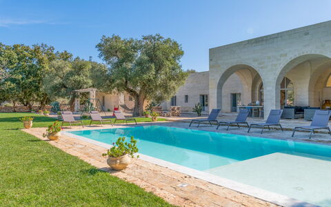 Tenuta Palù: Plante, L'Eau, Ciel, Bâtiment, Piscine, Arbre, Ombre, Chaise, Herbe, Loisir