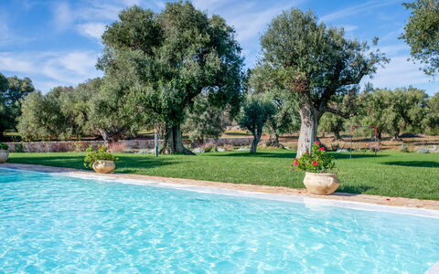 Tenuta Palù: L'Eau, Ciel, Plante, Nuage, Arbre, Botanique, Piscine, Paysage Naturel, Herbe, Ombre