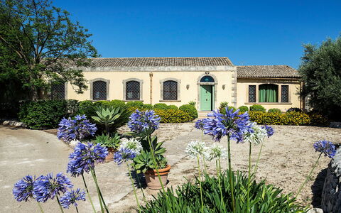 Casa Colore - Siracusa, Sicilia: Fleur, Plante, Ciel, Bâtiment, Propriété, Fenêtre, Botanique, Bleu Azur, Maison, Arbre