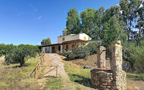 Eucalipto: Arbre, Zone Rurale, Lot Terre, Chalet, Biens, Ferme, Arrière-Cour, Hacienda, Villa